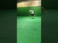 Dom Cecere'15 SS Williamsville North
