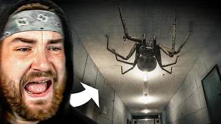 THE SPIDER GAME JUST GOT 100x SCARIER Huntsman UPDATE 