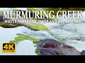 Download Lagu A murmuring creek. White noise for sleep, study and relaxation