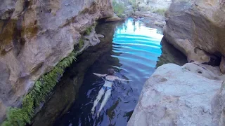 Living the dream – Episode 15