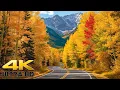 Peak Fall Colors in Colorado Independence Pass Scenic Drive - Aspen to Twin Lakes 4K