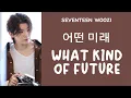 Download Lagu [LYRICS/가사] SEVENTEEN (세븐틴) WOOZI - What kind of future (어떤 미래)