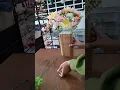 Lagu DIY Make a Bucket Flowers #bucket #flowers #bouqet #bouquet #diy #crafts #love #ily #fyp #cute #art