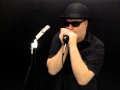 Download Lagu Sweet Home Chicago - Blues Harmonica