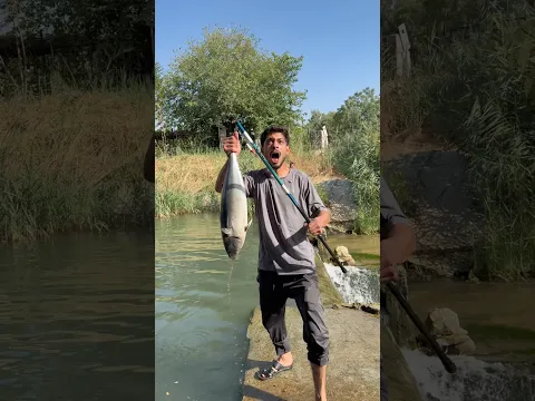 ‏ اسدضت سمكة كبيرة سمكة كبيرة 🐟نهاية غير متوقعة😂