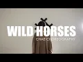 Wild Horses - Birdy : Choreo by CHAE //Dance Studio SU:#