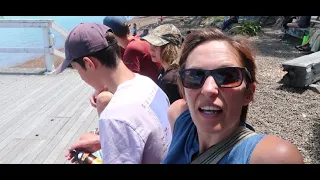 BLUEWATER terrorism – Ep 29