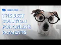 BridgerPay The best solution for online payments SCALE ANY BUSINESS