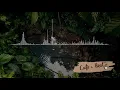 Rainforest - Saib