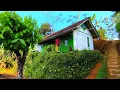 Download Lagu Hidup Di Desa | Kampung Indah di Atas Awan dan Kehidupan Sederhana Warga ANTAMAJA