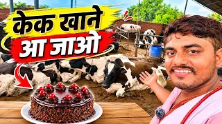 🎂 खाने आ जाओ Ejju dairy farm arwal bihar // small farm bihar // best farm bihar