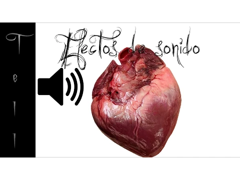 Download MP3 Latidos del corazón | Efecto de sonido