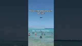 Sim be like F-35 credits brianclough3736