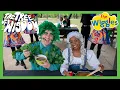 Lagu Irish Stew 🇮🇪 🌳 The Tree of Wisdom + The Wiggles