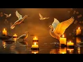 Download Lagu Suara Air dan Burung: Terapi untuk Kesehatan Holistik yang Sehat