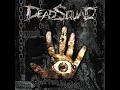 Manufaktur Replika Baptis - deadsquad