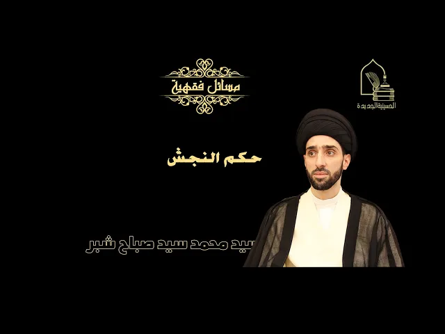 سيد محمد سيد صباح شبر/ حكم النجش