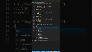 Remove Items From List in Python