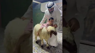 خروف العيد خوف عيالي اكسبلور ضحك الكويت ترند 