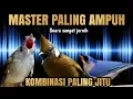 AMPUH MASTERAN FULL TEMBAKAN TAJAM SUPER JITU‼️