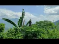 Flute Relaxing Music With Nature Sound | Deep Sleep, Peace, Meditation & Stress Relief |