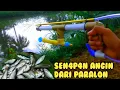 Download Lagu hoe maak je een vis en hagedis passer van een paralon pijp