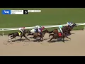 Gulfstream Park Replay Show May 16 2026