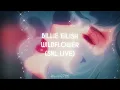 Download Lagu Billie Eilish - Wildflower ''SNL Live''  (Perfectly Slowed + Reverb 'Ethereal')