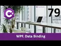 C Course WPF Data Binding 79