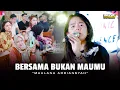 Download Lagu Maulana Ardiansyah - Bersama Bukan Maumu (Live Ska Reggae)
