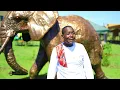 Download Lagu MEISISI BY PST KAIYAA FT DAN SAOLI (OFFICIAL VIDEO)