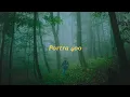 Download Lagu Moody Film Photography in the fog - Portra 400