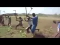 Download Lagu WASUKUMA wanavyoshirikiana katika kilimo kwa kuimba nyimbo zao za asiri.