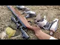 Lagu Long Range Hunting with diana 350 | Dove hunting with airgun, Pakistan