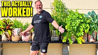 I Grew a Vegetable Garden in 48 USED Uber Eats Bags!