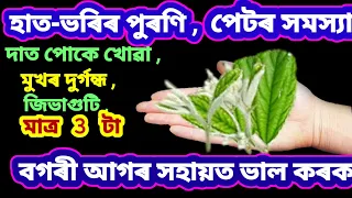 মাত্ৰ বগৰী ৰ 3 টা আগৰ সহায়ত ৬ টা ৰোগ আৰামত ঘৰতে ভাল কৰিব পাৰিব , 100% গেৰান্টি //