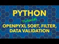 Python openpyxl Filter Sort Data Validation