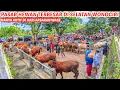 Ini Pasar Hewan Terbesar di Wonogiri ❓