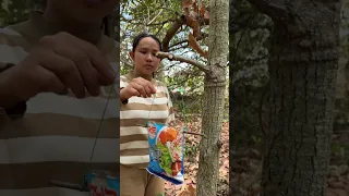 Wow! Single mom with Noodle skills for SURVIVAL in forest #Outdoors #noodles #mom #single #forest 