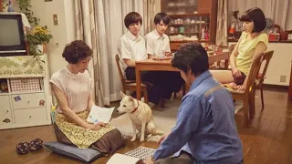 كلبة بتقدر تجمع عيلة كاملة بعد فراقهم تفتكروا اتفرقوا ليه Lملخص فيلم 