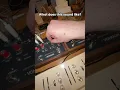 Download Lagu lazer ambient???  #music #fun #edm #beats #sounddesign #synth #producer #ableton #audio