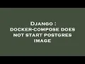 Django docker-compose does not start postgres image