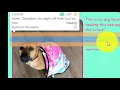 Chapter 1 - Lesson 1 Exploring Web Pages