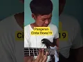 Slap Bass Pangeran Cinta Dewa 19#bassplayer #cover #PangeranCintadewa19