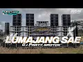 Download Lagu DJ LUMAJANG SAE PARTY NROTOK 🔥🔥