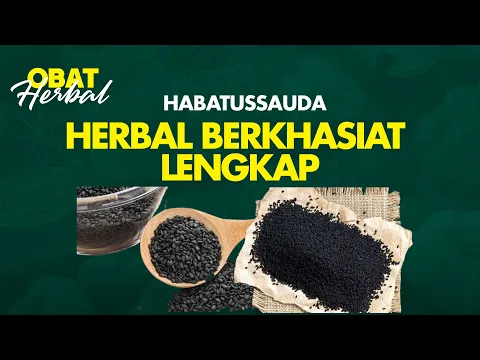 Habbatussauda, Herbal Berkhasiat Lengkap | Obat Herbal
