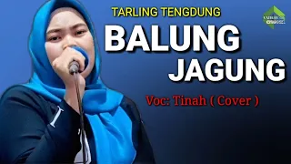 balung jagung tinah cover 