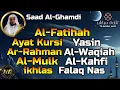 Download Lagu Al Fatihah,Ayat Kursi,Surah Yasin,Ar Rahman,Al Waqiah,Al Mulk,Kahfi,Ikhlas,Falaq,Nas, Saad Al-Ghamdi