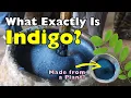 Download Lagu Wat is indigo?