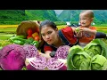 Download Lagu Harvesting Cabbage to sell at the Market - Making Rice Rolls - Live With Nature | Trieu Thi Thuy